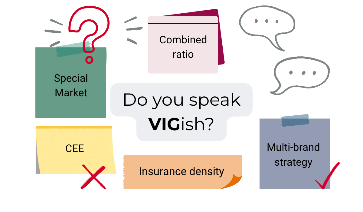 Post-its with VIG terms e.g. Special Market and multi-brand strategy; question "Do you speak VIGish?" in the centre