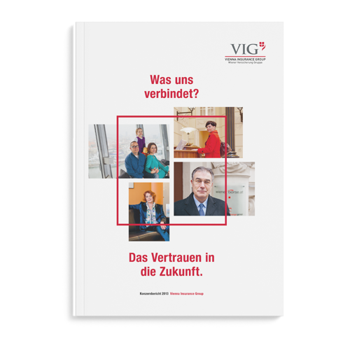 2013 VIG Konzernbericht Cover