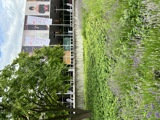 VIG AGM 2024 Entrance Wiener Stadthalle in the background, flowering meadow in the foreground