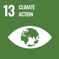 SDG13 Icon Climate Action