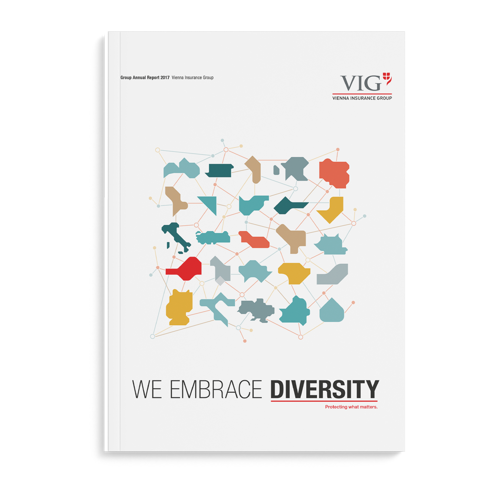 2017 VIG Group Annual Report Cover