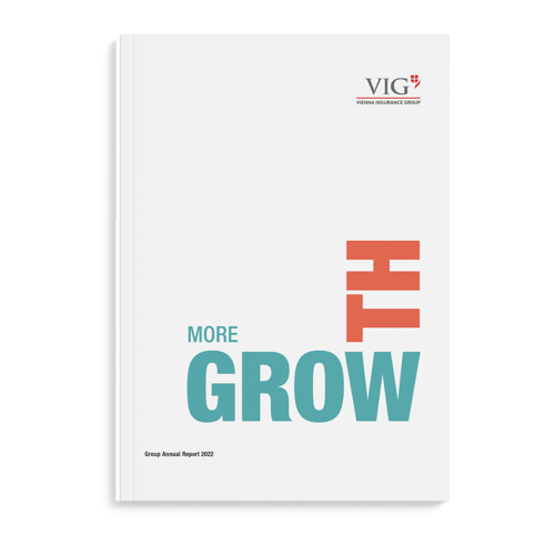 2022 VIG Group Annual Report Cover