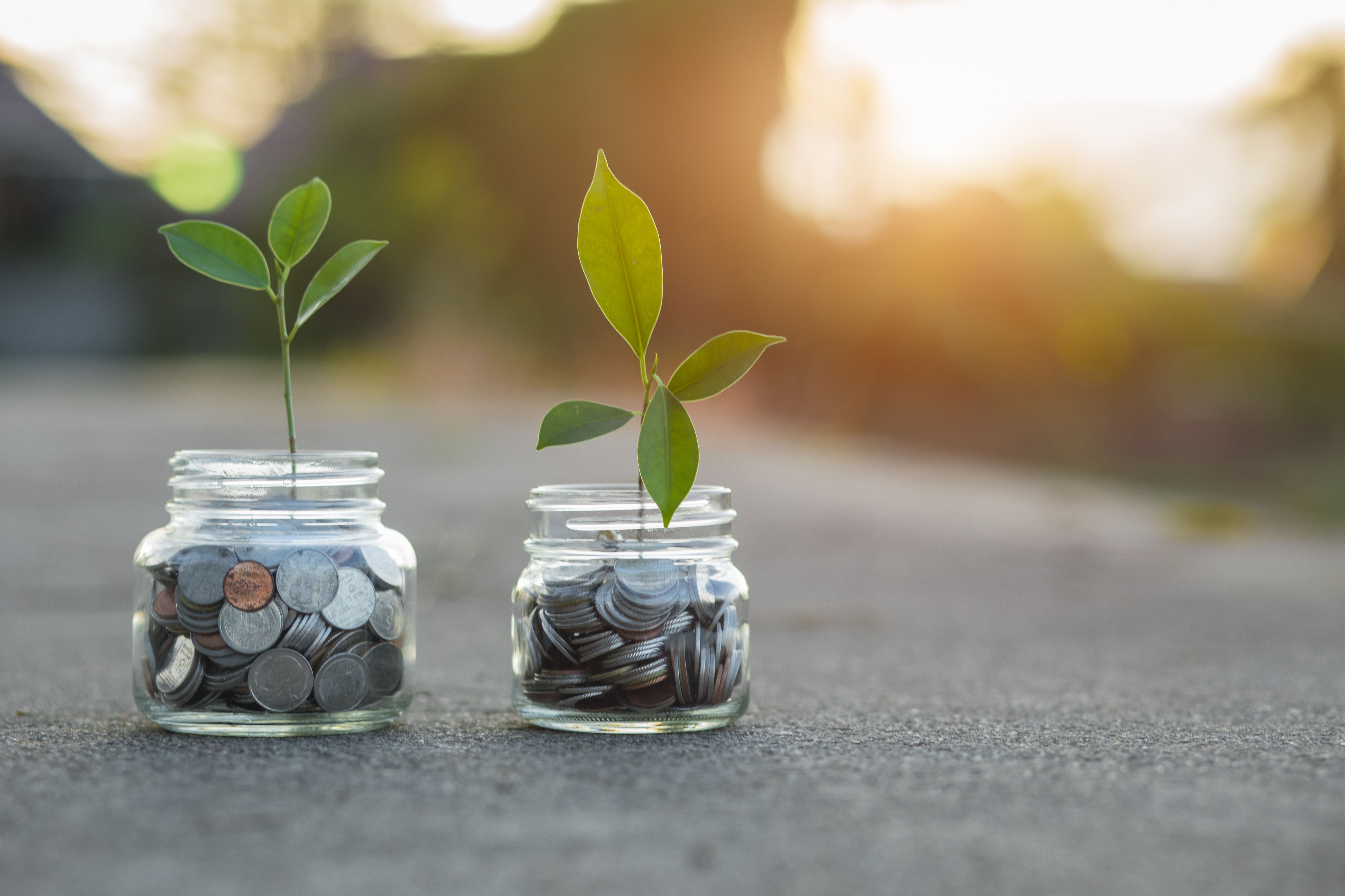 Two jars filled with change coins, each with a young shoot growing out of it.