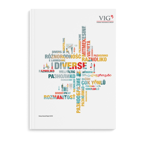 2019 VIG Group Annual Report Cover