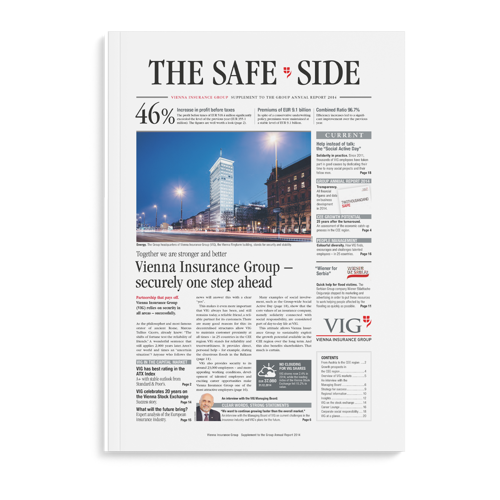 2014 VIG Supplement The Safe Side Cover