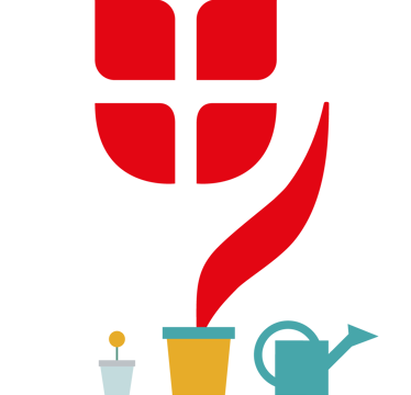 Illustration Tulpe