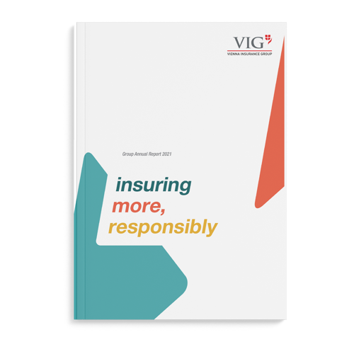 2021 VIG Group Annual Report Cover