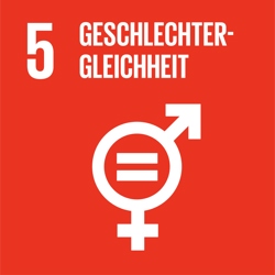 SDG5 Icon Geschlechtergleichheit