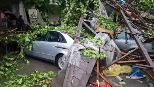 Two silver cars covered in branches and debris after heavy storms in Romania