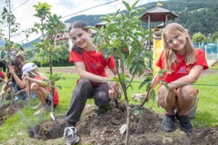 Der Umwelt zuliebe: Unter fachmännischer Anleitung und Unterstützung pflanzten die Kinder insgesamt 12 Apfelbäume im Garten des JUFA Hotels Lungau.